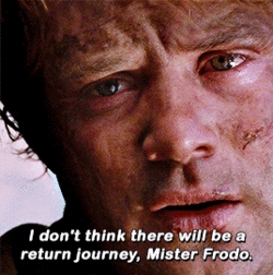frodo.gif