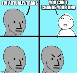 6s3h82.jpeg