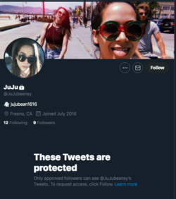twitter.png
