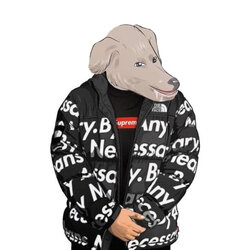drip.jpg