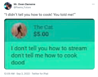 DangDirtyTroll3.png
