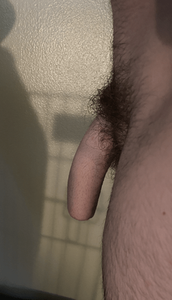3c46t5fiqpl91.png