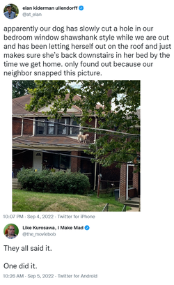 dog.png