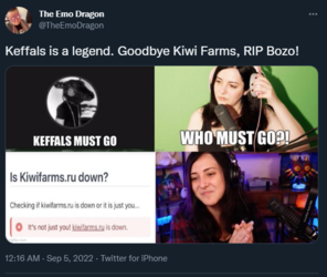 1662357495825.png