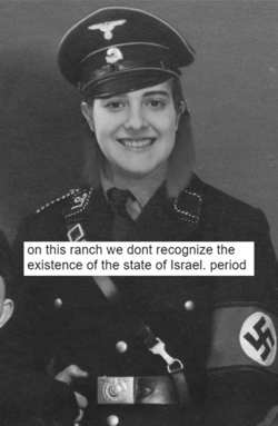 oof.png