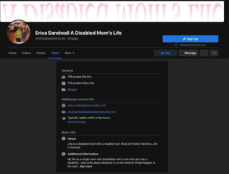 erica fb about.png