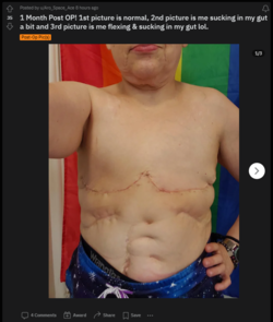 freedthenips_1.png