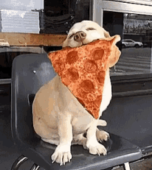 dog-cute.gif