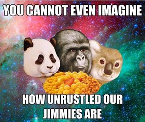 jimmies.jpg