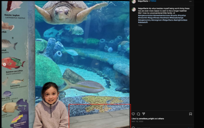 aquarium from jessicas ig.png