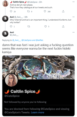 CaitlinSpice3.png