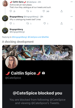 CaitlinSpice5.png