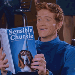 giphy (3).gif