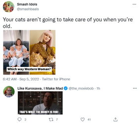 cat.jpg