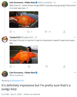 Carp.png