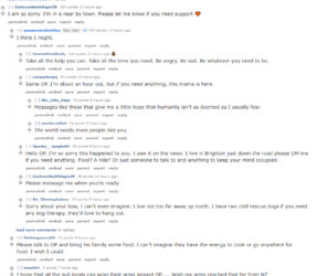 redditsnip3.PNG