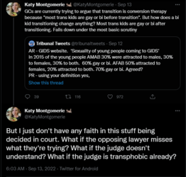 KM the judge is a transphobe.PNG