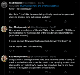 KM the judge is a transphobe 4.PNG