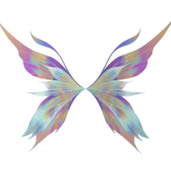 FcZpeEMWQAA8Fxg.png