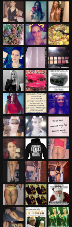 nikki ig 5.png