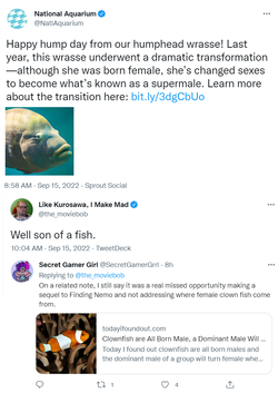 fish.png fish.png