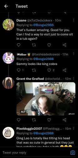 Screenshot_20220915_175930.jpg