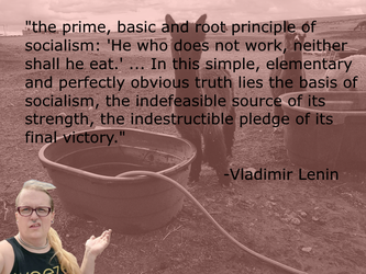 kevinlenin.png