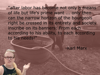 kevinmarx.png