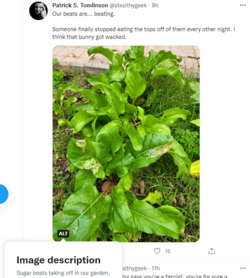 e4b51075425e501ed769ca0ec180f79e.png