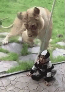 d895c0f641a4bec9fd988d10ece3d52eced003ac8f07e56e2985faf798ca270d(1).gif