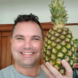 FatrickPineapple.jpg