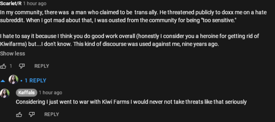 Screenshot 2022-09-29 at 15-01-25 We Need To Talk About TENDERQUEERS Keffals.png