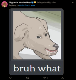1664488437042.png