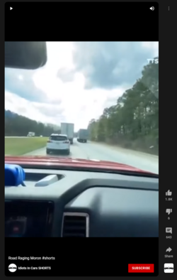 idiots in cars.png