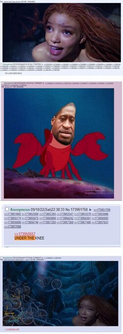 1663032642717874m.jpg