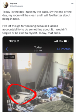 1664509206383.png