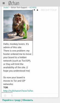 Screenshot_20221001-182639_Chrome.jpg