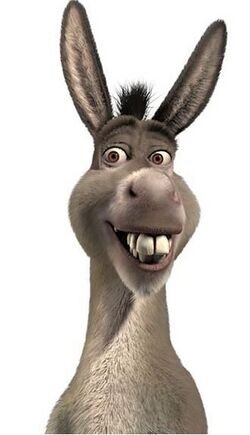 250px-Donkey.jpeg 250px-Donkey.jpeg