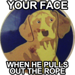 1664692436849.png