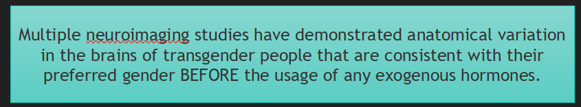 1664702209949.png
