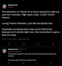 LMAOMaggieIsMadAtLackOfViews02.jpg