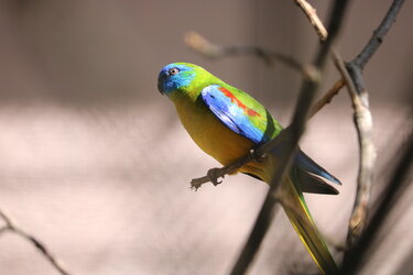 IMG_0227.JPG
