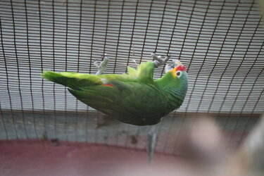 IMG_0297.JPG