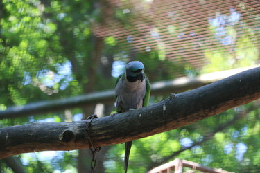 IMG_0584.JPG
