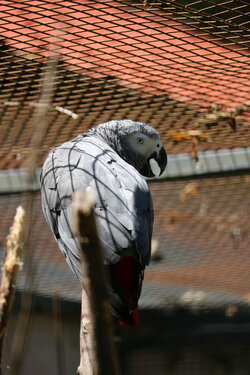 IMG_0680.JPG