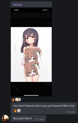 filter explained 2 (censored).jpg