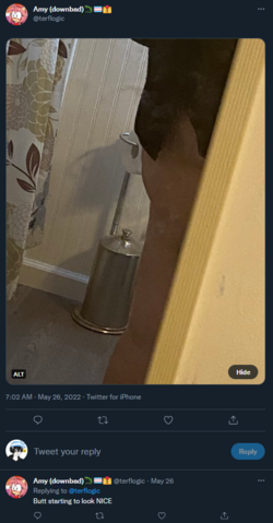 noass.png