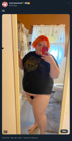 fatblimp.png