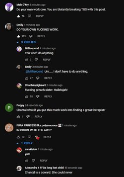 CommentsB4Deleted.JPG