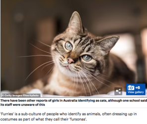 G'meow.png